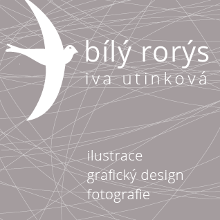 Bílý rorýs